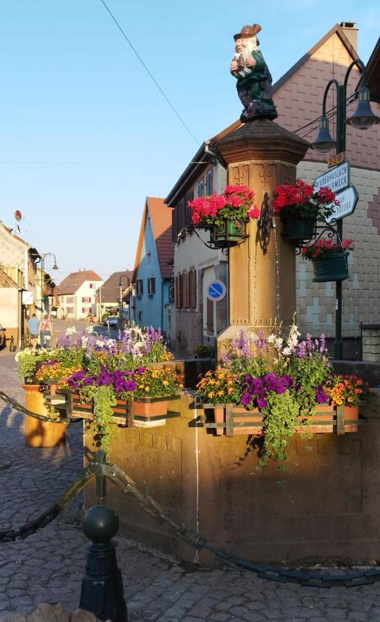 La Hasel Apartment Oberhaslach Exterior foto